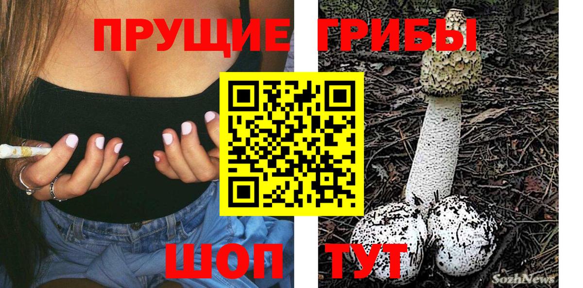Псилоцибиновые грибы Psilocybine cubensis Благовещенск