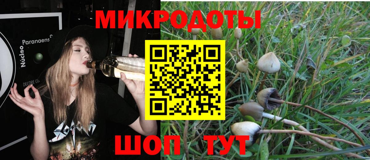 Благовещенск  Галлюциногенные грибы Psilocybe  Вход с VPN 